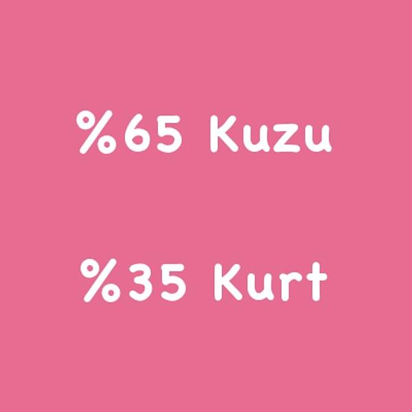 %65 Kuzu %35 Kurt!