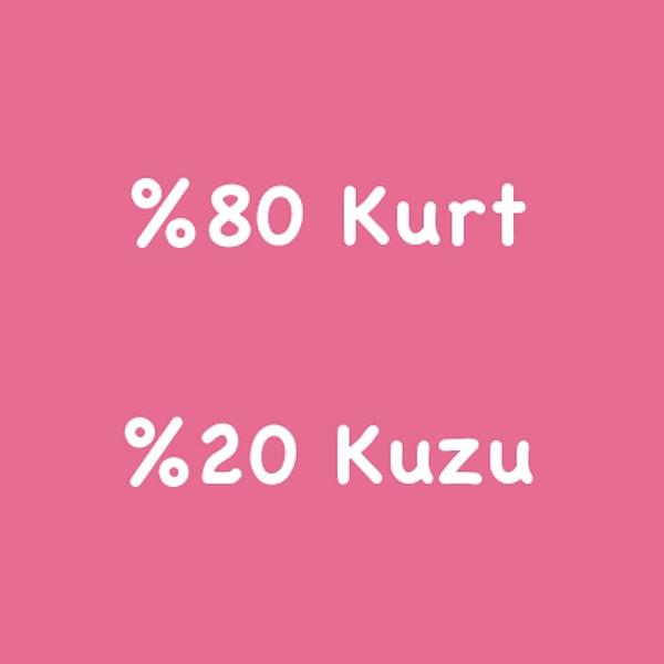 %80 Kurt %20 Kuzu!