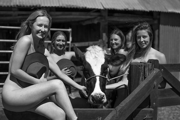 4. Не уверены, что достаточно сильно любите собак, чтобы пожертвовать энную сумму?