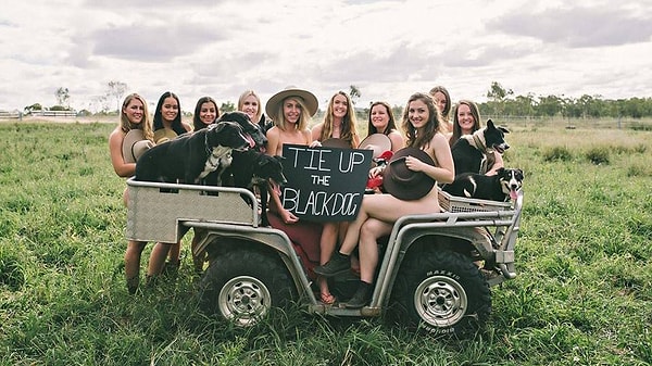 7. Почему? Что ж, недавний австралийский закон запретил собачьи бега, и множество борзых осталось без дома.