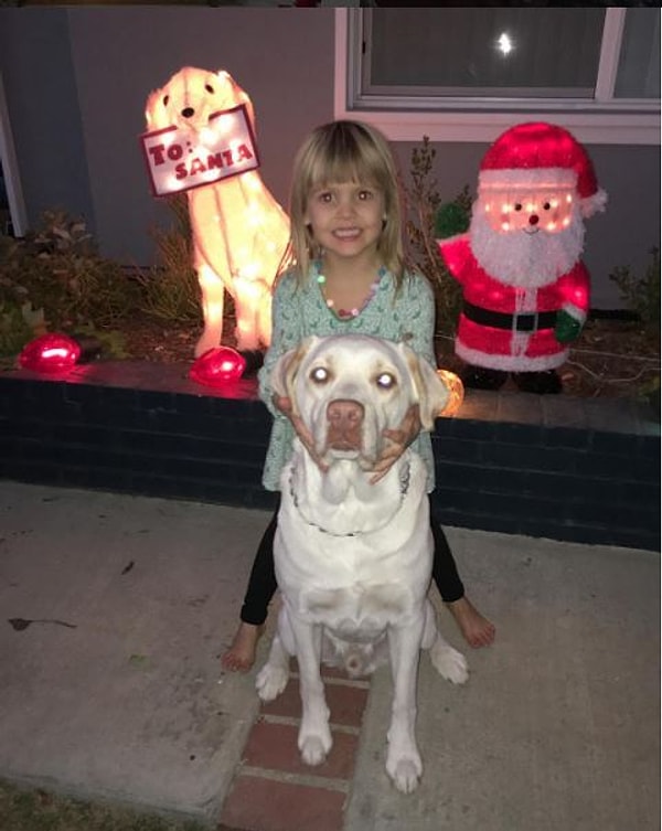 9. В 2015 году Майк и Бриттани обручились и стали жить вместе. Именно тогда отношения между Майком и Хайди начали развиваться.