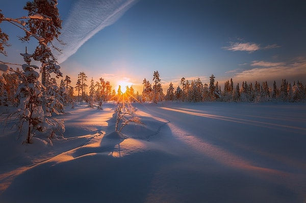 4. Мурманск - город четырех войн - Первой мировой, Гражданской, Финской и Великой Отечественной. Причем за все время своего существования он не был ни покорен, ни завоеван ни разу
