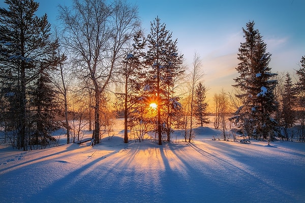6. Первые на своих двоих преодолевают мост через Кольский залив, а под ними плывут любители холодной воды