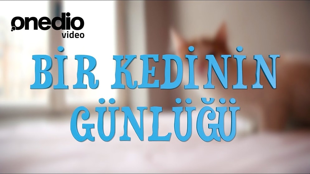 Bir Kedinin Günlüğü