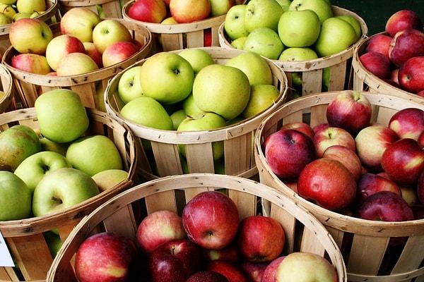 12. Marketlerde satılan bazı ithal elmalar 5 ila 12 aylık olabiliyor. Özel haznelerde düşük sıcaklık ve oksijen seviyesinde saklanan bu elmalar besin değerini kaybetmeden ve bozulmadan uzun süre dayanabiliyor.