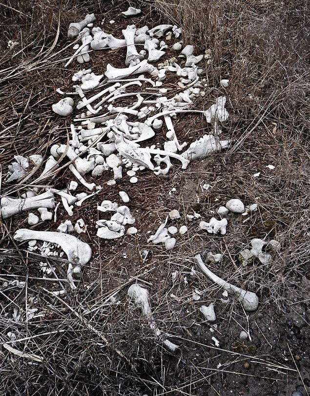 23. The corpse is absorbed in the nature.