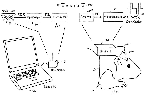 2. Крысы с дистанционным управлением