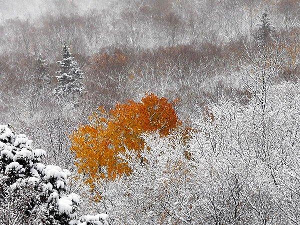 5. Franconia Tepesi, New Hampshire (Jim Cole)