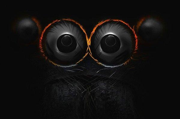 3. Sıçrayan Örümcek Gözleri