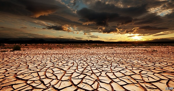 10. «Мы просто поражены количеством изменений, которые мы увидели, ведь многие из нас не ждали такого еще многие десятилетия», - сообщает старший автор работы, Джеймс Уотсон.