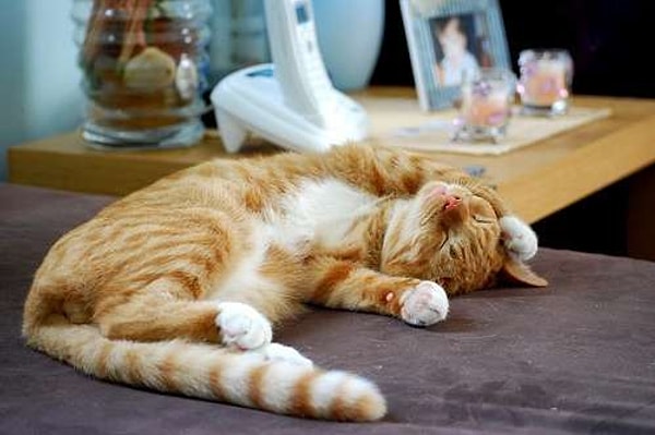 4. Вам все лень