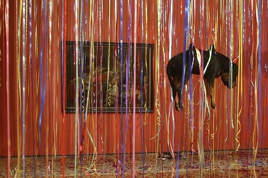 #ПозорЭрмитажу: Ян Фабр подвесил в музее мертвых животных