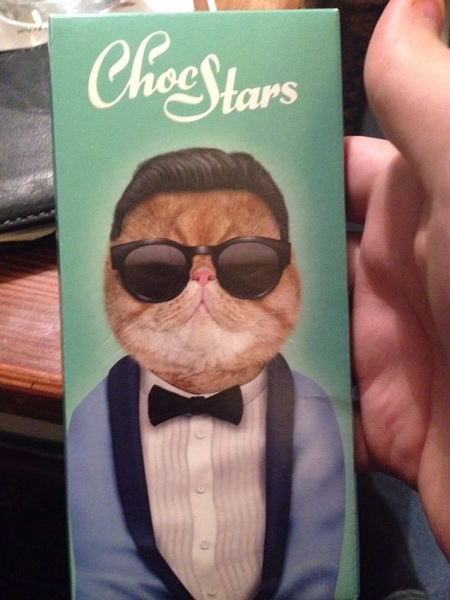 15. A chocolate with a cool cat on it...