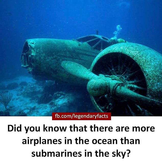 2.