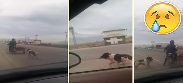 Köpeği Motorun Arkasına Bağlayıp Sürükleyerek Eziyet Eden Zalim İnsan