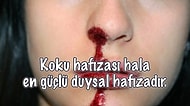 Koku Hakkında Okudukça Burnunuzun Kanamasına Sebep Olabilecek 15 İlginç Bilgi