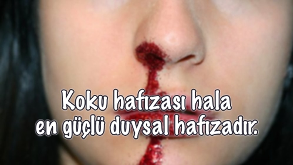 Koku Hakkında Okudukça Burnunuzun Kanamasına Sebep Olabilecek 15 İlginç Bilgi