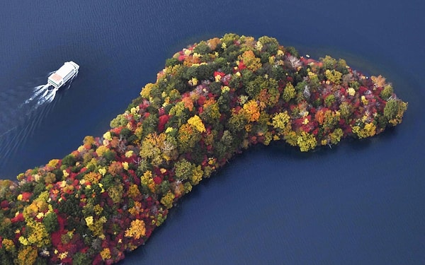 3. Никко, Токио, Япония (Daisuke Suzuki)