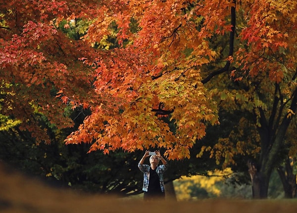 19. Нью-Йорк, США (Mike Groll)