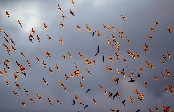 20. Минск, Белоруссия (Sergei Grits)