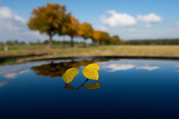 22. Виссельхёведе, Германия (Daniel Reinhardt)