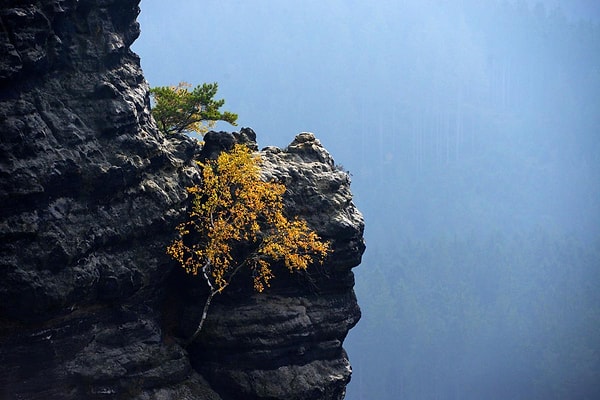 26. Чехия (Michal Cizek)