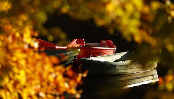 32. Шотландия (Russell Cheyne)