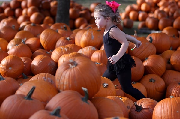 35. Флорида, США (Patti Blake)