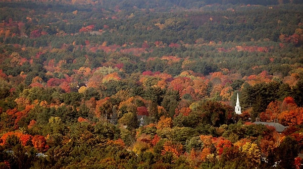36. Истхэмптон, Массачусетс, США (Craig F. Walker)
