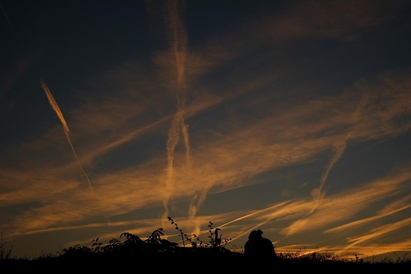 38. Памплона, Испания (Alvaro Barrientos)