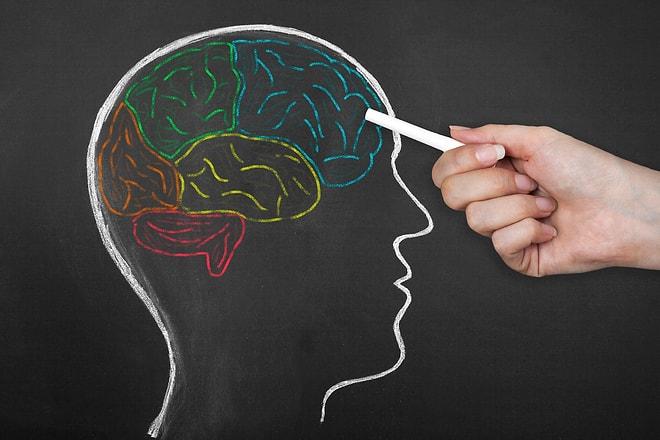 Müsait Bir Nöroloji Uzmanını Yakalasak Hepimizin Soracağı 11 Soru