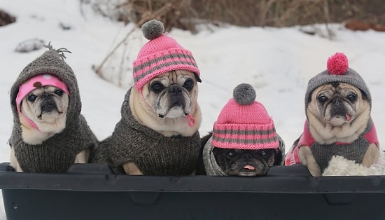 10 эффективных способов согреться в холодную погоду