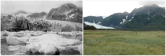 1. Pedersen Glacier, Alaska. Summer, 1917 — summer, 2005