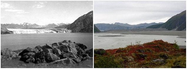 4. Carroll Glacier, Alaska. August, 1906 — September, 2003