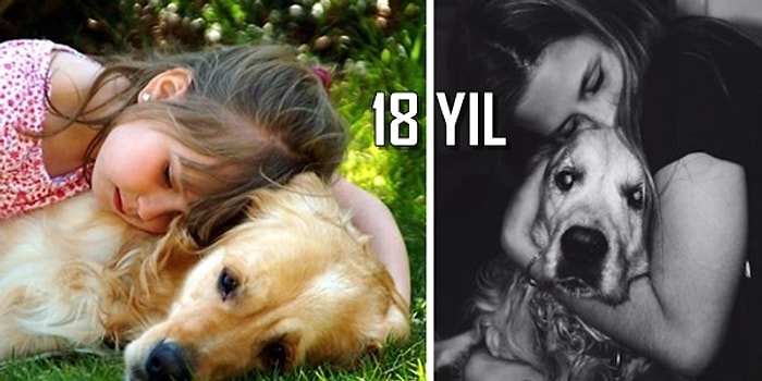 Onlar Bizim Can Dostumuz! İnsanlarıyla Beraber Yaşlanan Köpüşlerden 28 Dokunaklı Kare