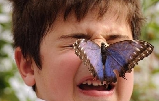 22 самых эпичных фейла в истории человечества