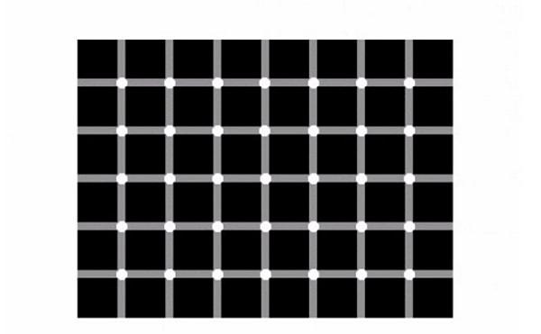 7. Görselde kaç tane siyah nokta görüyorsun?
