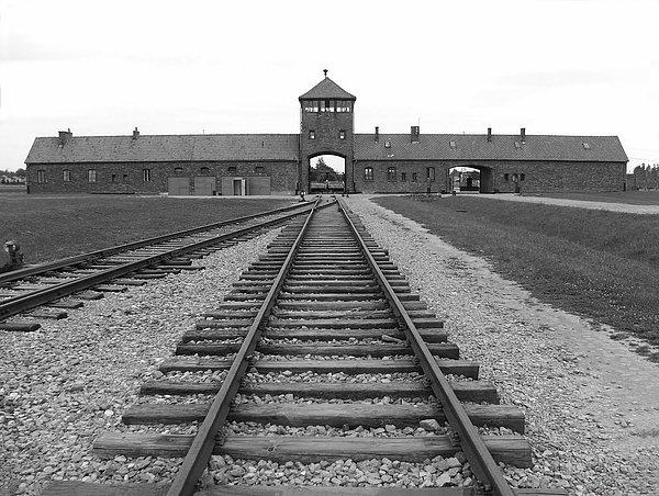 9. Bir soykırım inkar grubu, Auschwitz’deki gaz odalarının insanları öldürmek için tasarlandığını ispat edebilene 50 bin dolar ödül vereceğini duyuyarak hodri meydan yapmış.