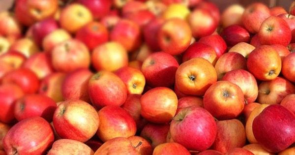 10. Dünyada 7500'ü aşkın elma çeşidi bulunmaktadır. Her gün bir tanesini yeme fırsatınız olsa bu 20 yılınızı alacaktır.