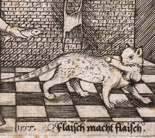 4. This cat is a penis stealing monster.