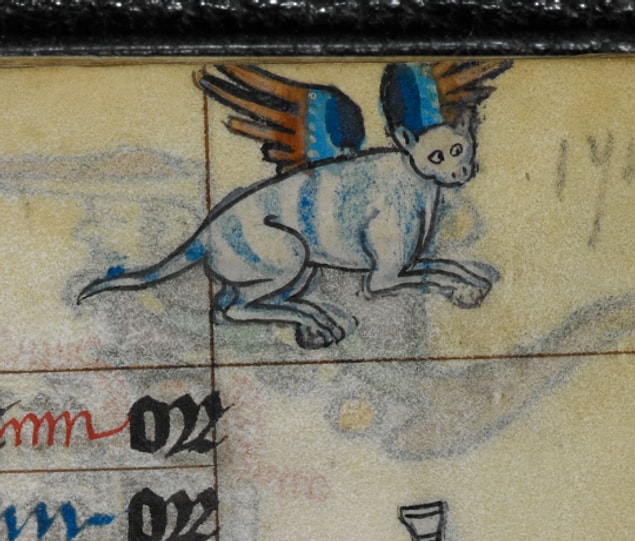 16. This cat can fly but he's still ugly as fuck.