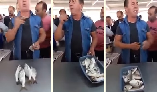 İzlemesi Aşırı Keyifli Açık Arttırmayla Balık Satımı