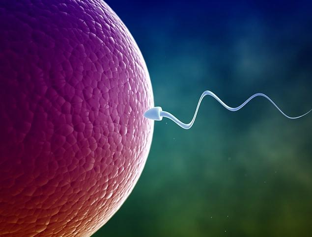 Under normal circumstances, in order conception to take place, a woman's egg and man's sperm have to come together in a suitable environment.