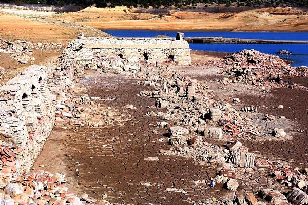 "50 yıldır çalışma yapıyorum. ilk kez buna tanık oluyorum."