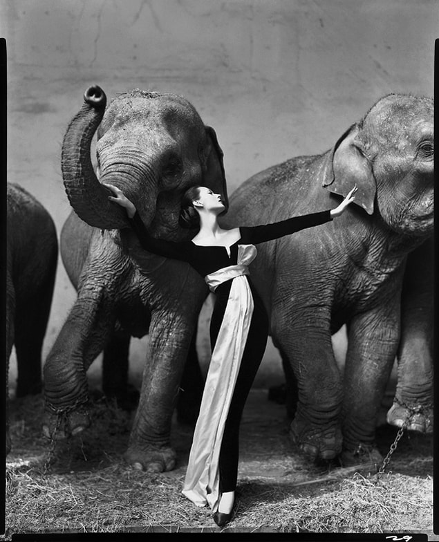 44. Fillerle Dovima, Paris - 1955