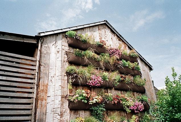 First of all, what is this "Vertical Gardening" about?