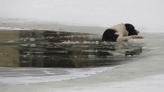 Donmuş Gölete Düşen Çaresiz Köpeği Kurtaran Kahraman İnsan