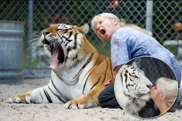 8. Дженис Хейли - содержит тигров у себя в саду