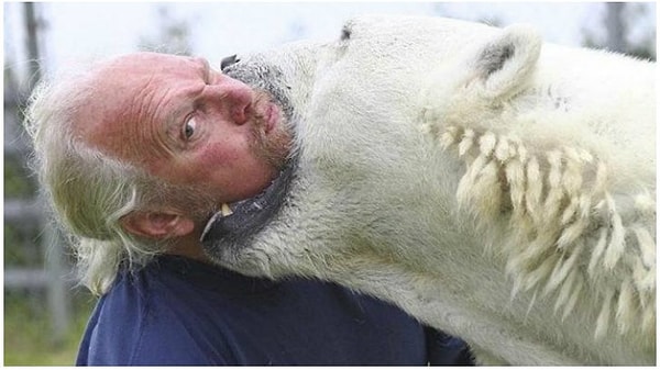 12. Марк Думас- единственный человек на земле, который может поплавать с белым медведем