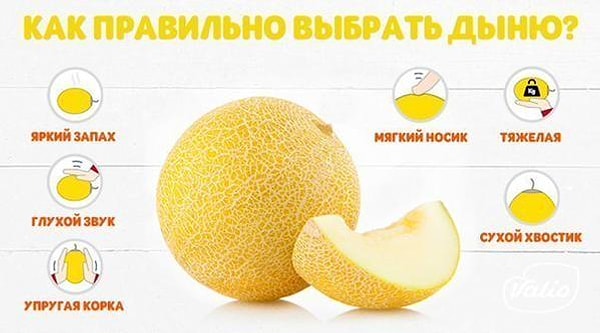 9. Как выбрать дыню.